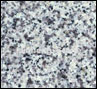 Granite